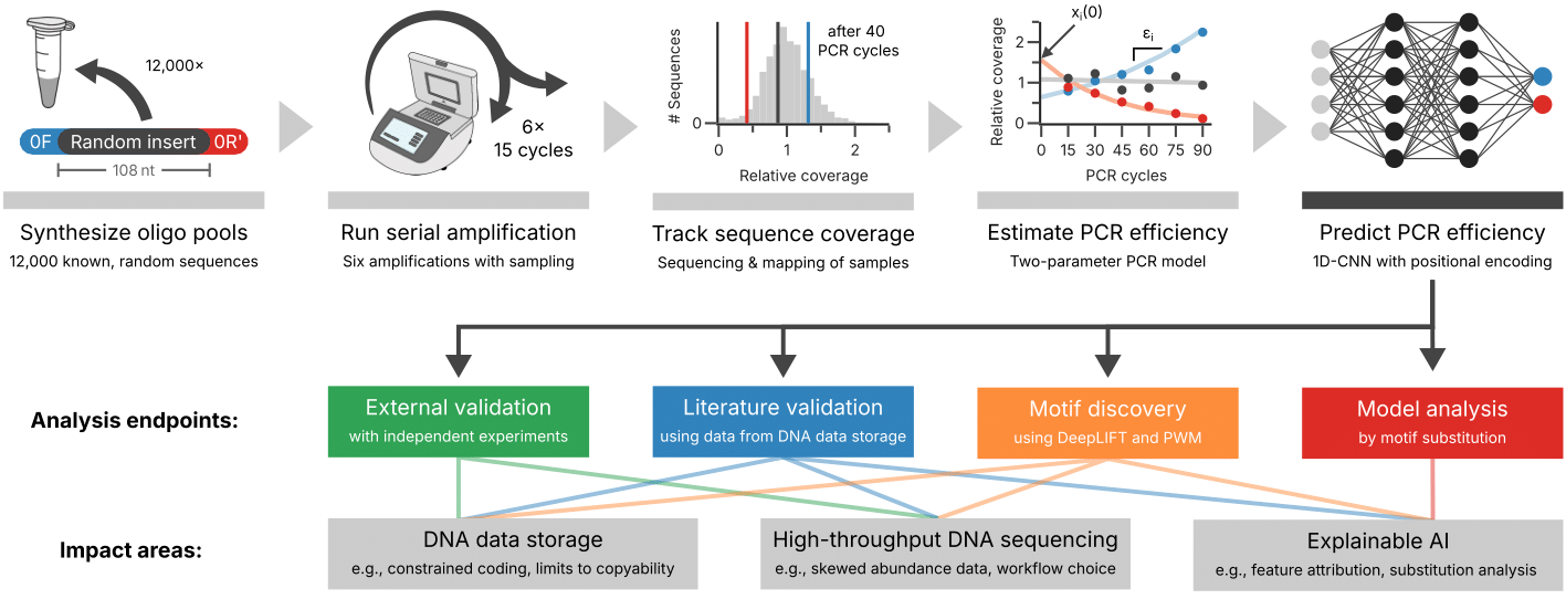 PCR amplification bias analysis workflow